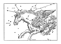 pegasus