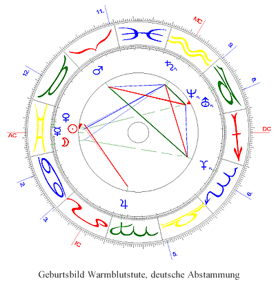 Geburtsbild Warmblutstute, deutsche Abstammung