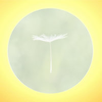 Solar returns