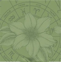 Bach rimedi floreali