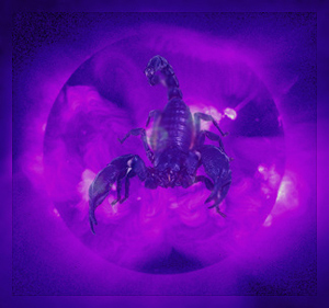 Skorpion