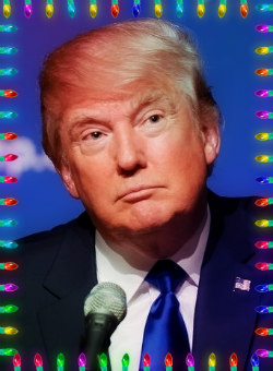 Trump Portrait