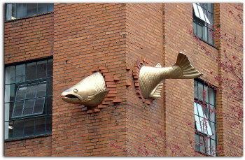 Mauerfisch