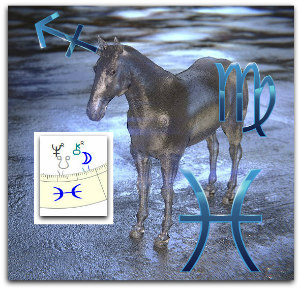 Unicorn