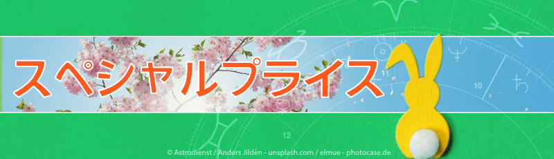 Special Prices until April 10