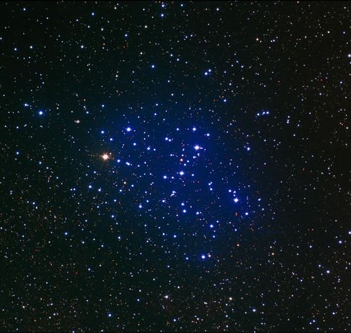 Aculeus – Astrodienst Astrowiki