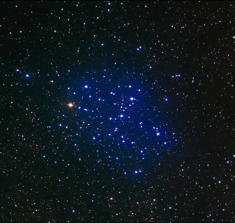 Aculeus – Astrodienst Astrowiki